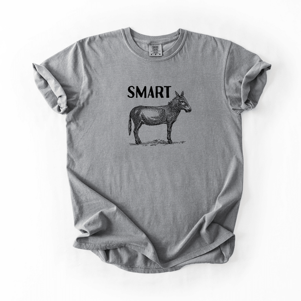 Smart Donkey Funny Graphic Tee Sarcastic Minimal Humor Shirt